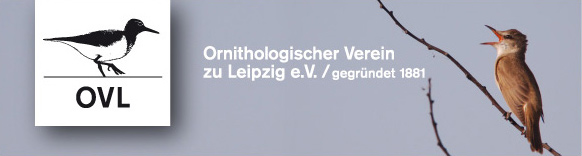 Logo OVL